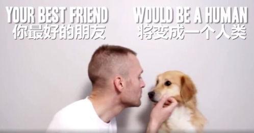 狗变成人了吗视频播放,揭秘狗变成人了吗视频背后的故事