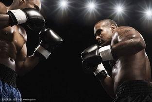 拳击成人解压球图片视频,释放压力，挥洒活力的健身利器