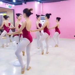 初级舞蹈课成人舞蹈视频,轻松入门，舞动身心