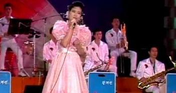 成人歌唱教程视频播放,轻松掌握歌唱技巧，开启音乐之旅