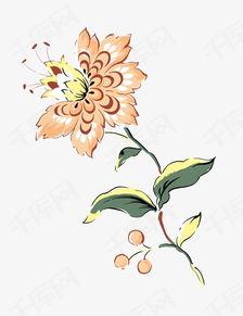 成人教你学画花朵视频