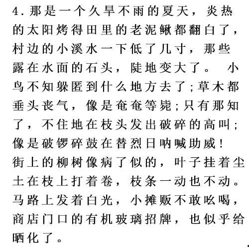 孩子唱成人歌作文素材视频,孩子唱成人歌的纯真与感动