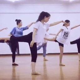 暑期成人古典舞蹈视频