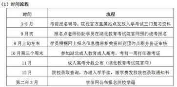 成人教育监考流程视频,视频解析与要点梳理